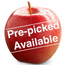 Ambrosia PrePicked