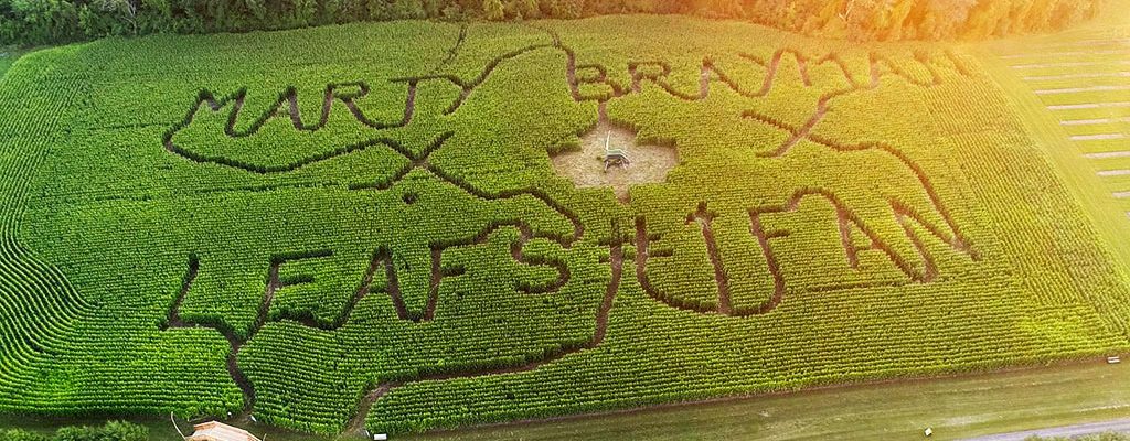 Corn-Maze-opt