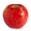 HoneycrispApple