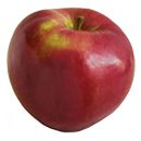 LoboApple