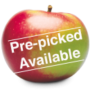 McIntosh PrePicked
