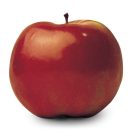 SpartanApple