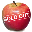 Sunrise Apple for Sold Out